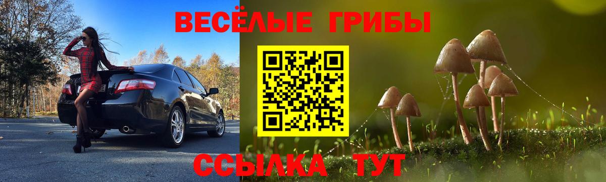 Россия  Галлюциногенные грибы прущие грибы  Вход с VPN 